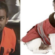 Illustration for article titled Dogs That Look Like Tom Haverford continues the winning animal and emParks Rec/em mash-up trend